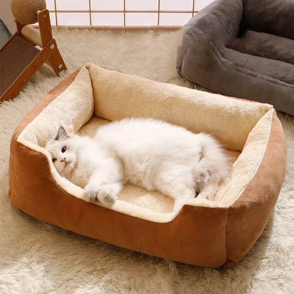 Bed for Cats Pet Products Cushions Kitten Goods Accessories Dog