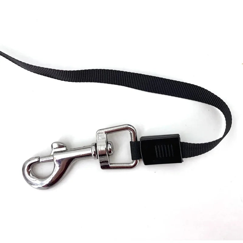 3M/5M Retractable Dog Or Pet Leash